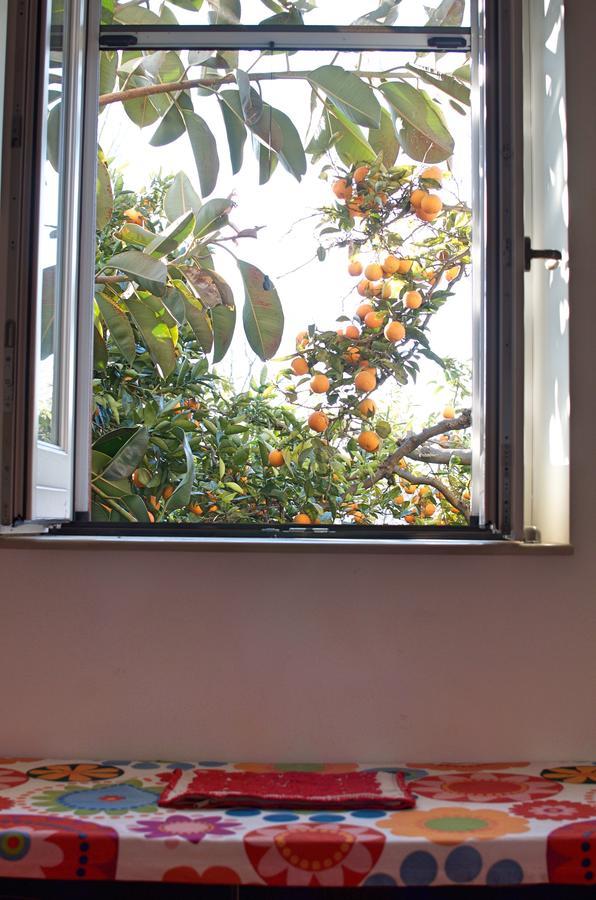 Bed and Breakfast Il Giardino Del Sole Roccarainola Zewnętrze zdjęcie